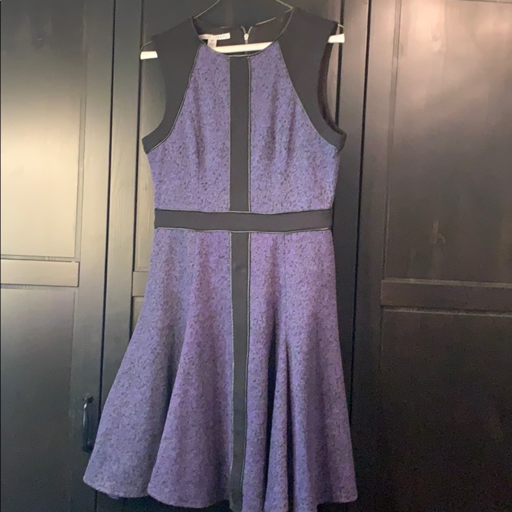 Maggy London cute fall dress